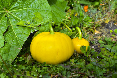 Similar image 21440436