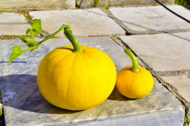 Similar image 21440437