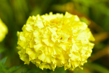 Similar image 21440438