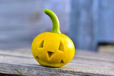 Similar image 21440439