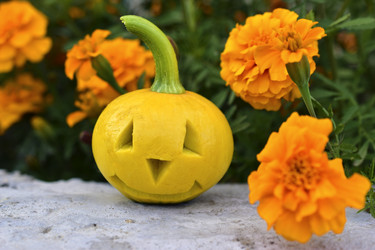 Similar image 21440440