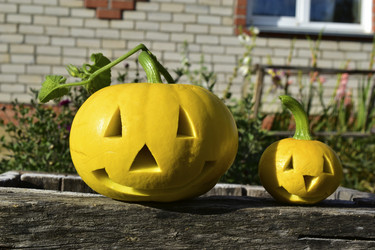 Similar image 21440441