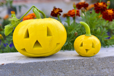 Similar image 21440443