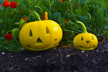 Similar image 21440444