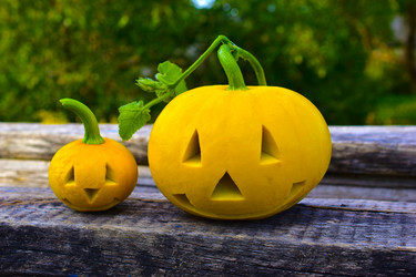 Similar image 21440446