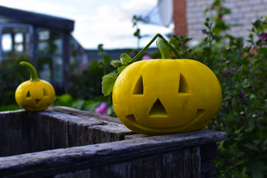 Similar image 21440447