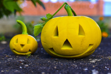 Similar image 21440450