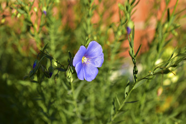 Similar image 21440451