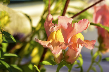 Similar image 21440452