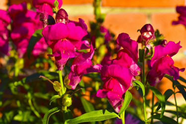 Similar image 21440454