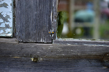 Similar image 21440456