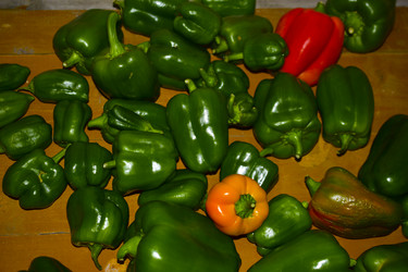 Similar image 21440458