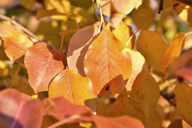 Similar image 21440463