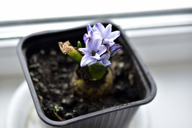 Similar image 21440464