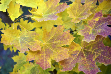 Similar image 21440465