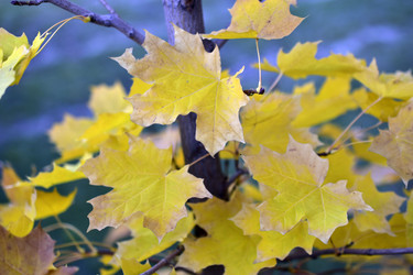 Similar image 21440468