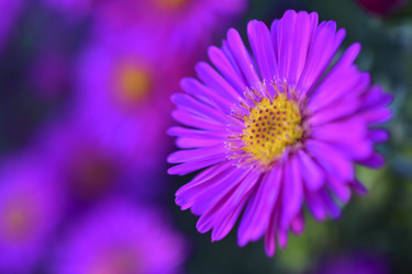 Similar image 21440472