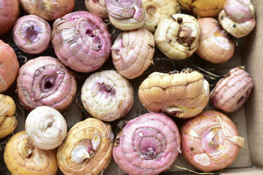 Similar image 21440474