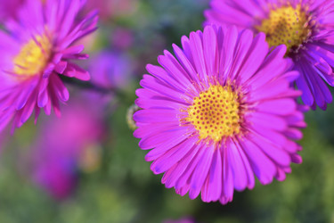 Similar image 21440477