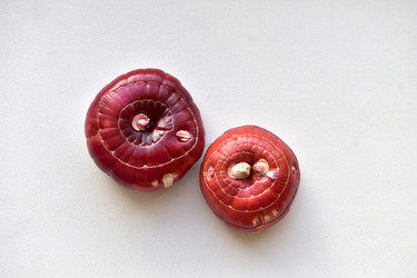 Similar image 21440562