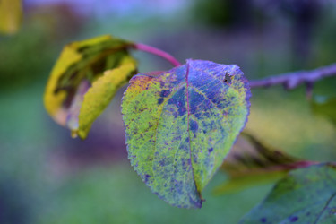 Similar image 21440483