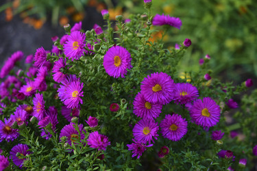 Similar image 21440485