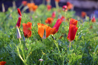 Similar image 21440488