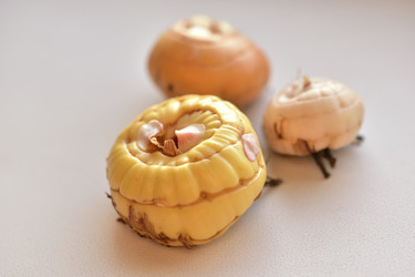 Similar image 21440495