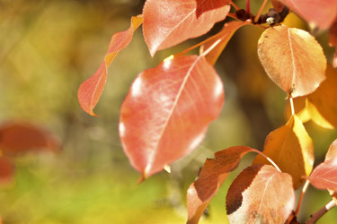 Similar image 21440498