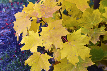 Similar image 21440503