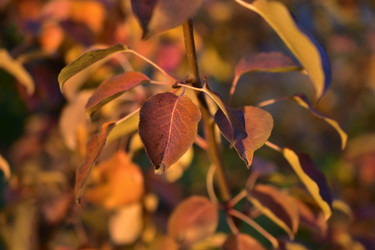 Similar image 21440504