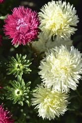 Similar image 21440505