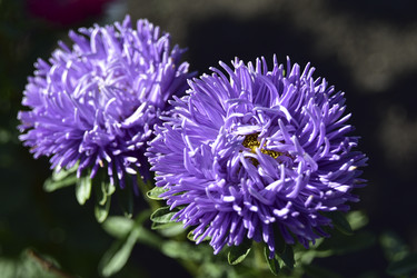 Similar image 21440506