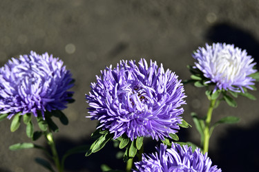 Similar image 21440507