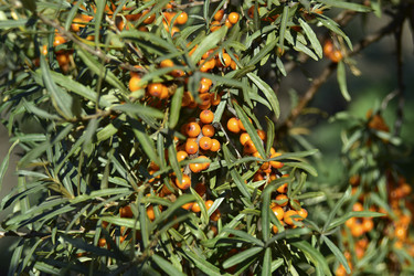 Similar image 21440508