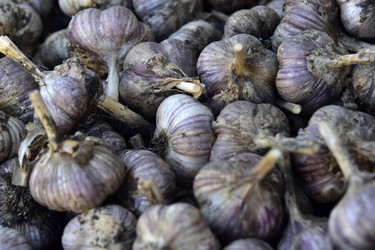 Similar image 21440509