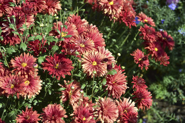 Similar image 21440513