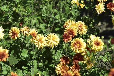 Similar image 21440514