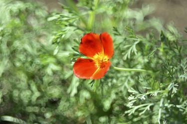 Similar image 21440515