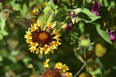 Similar image 21440517