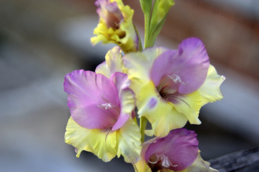 Similar image 21440519