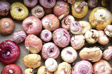 Similar image 21440530