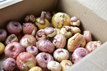 Similar image 21440533