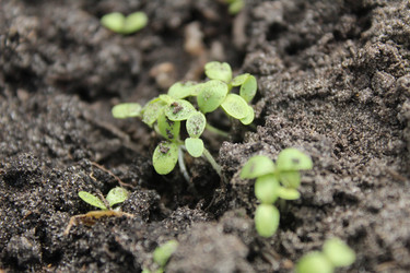 Similar image 21469472