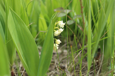 Similar image 21469474