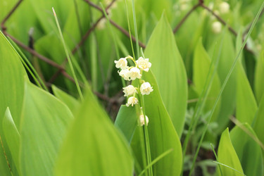 Similar image 21469475