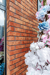 Similar image 21440199