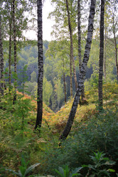 Similar image 21442866