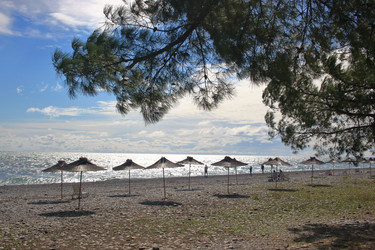 Similar image 21442869