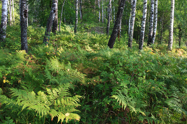 Similar image 21442572